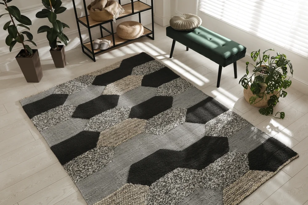 Modern Rugs
